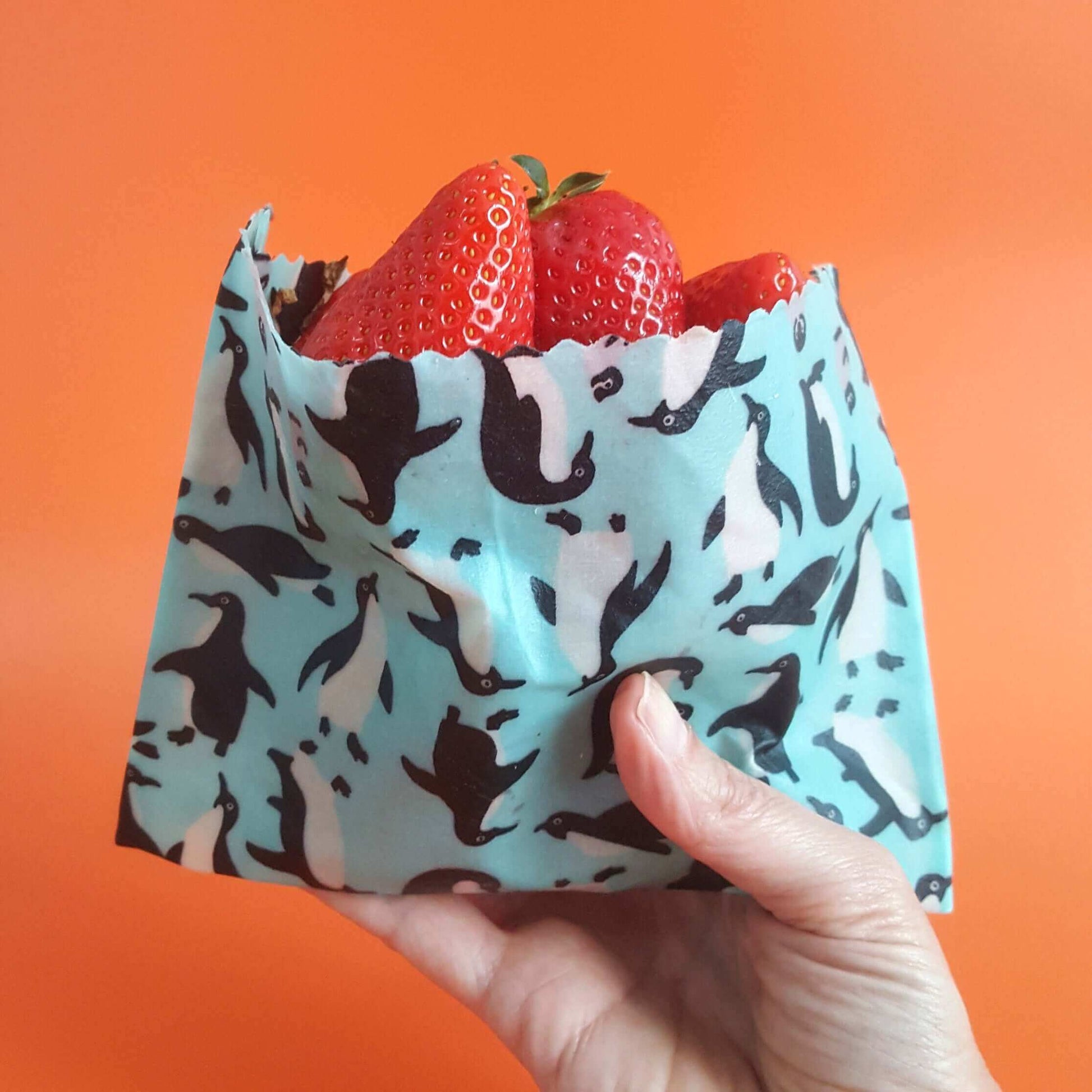 Award-winning Small Family Business. 3,600 5* Reviews. WHOLESALE, too.