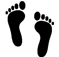 Award-winning Small Family Business. 3,600 5* Reviews. WHOLESALE, too. Reusable beeswax wraps are reusable biodegradable and last a year+